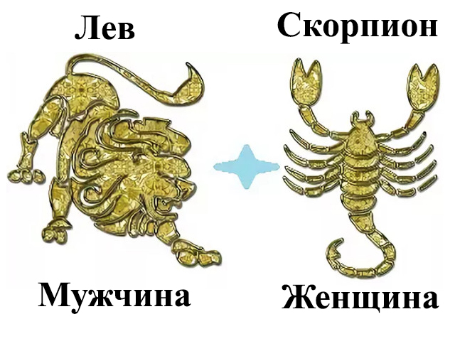 Гороскоп Мужчина Лев Женщина Скорпион