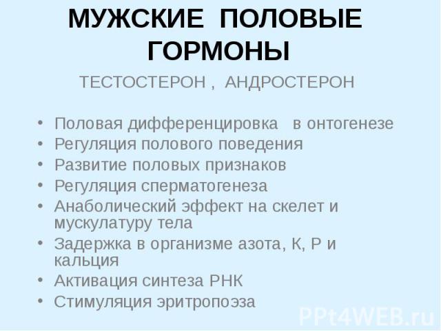 мужские половые гормоны