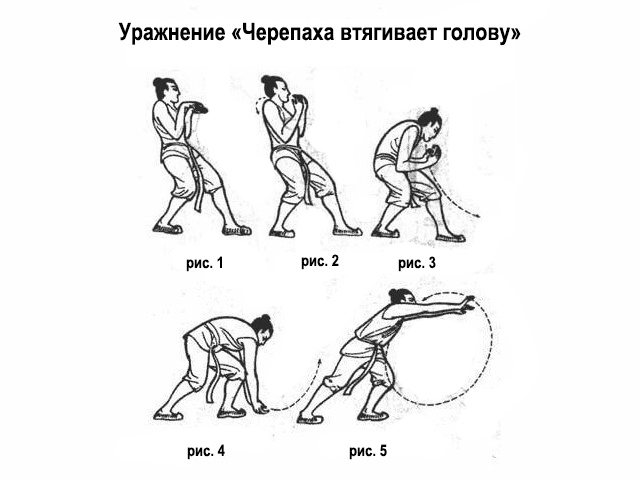 Упражнение черепашка. Упражнение черепаха цигун. Упражнения цигун олень журавль и черепаха. Даосская практика для мужчин упражнения. Черепаха втягивает голову упражнение.