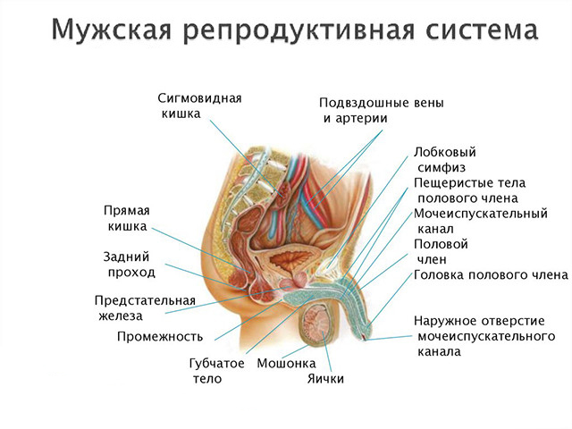 Схематический рисунок 