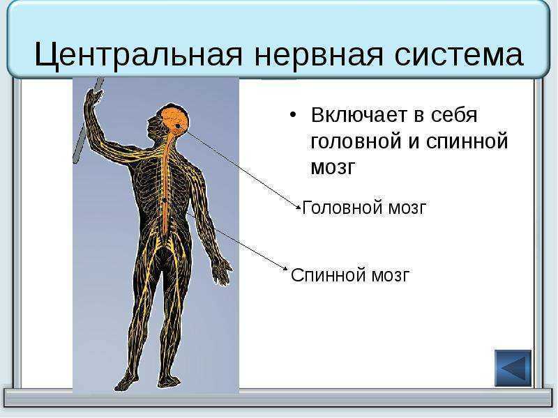 Схематический рисунок 